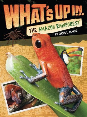 cover image of What's Up in the Amazon Rainforest